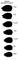 BLACK WHOLE